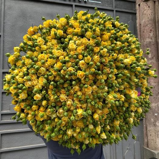 Роза кустовая  желтая 201 шт