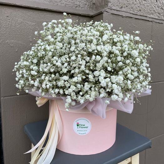 Коробка с гипсофилой