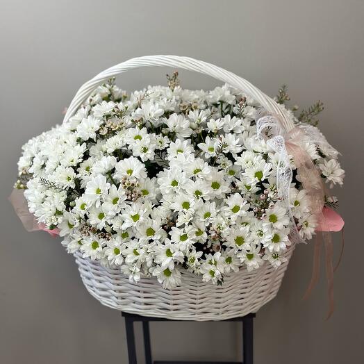 Корзина с хамелациумом и ромашковидной хризантемой