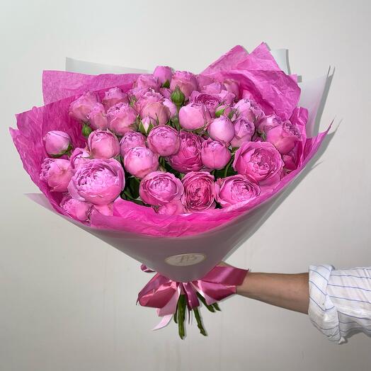Пиономания💞