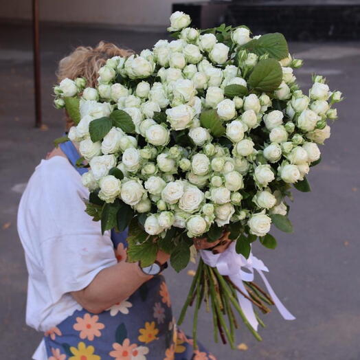 19 White Bushy Peony-shaped Bombastic Roses