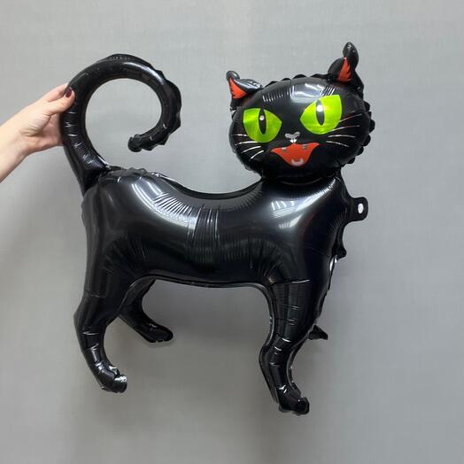 Черная кошка ходячая