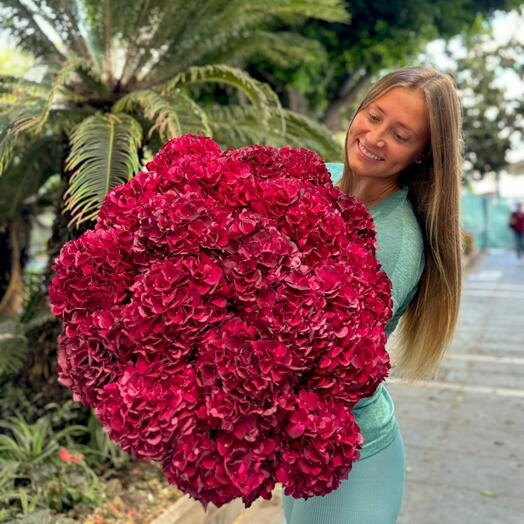 Ramo de hortensia granate 10