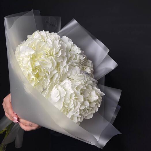 Mono bouquet of white hydrangeas