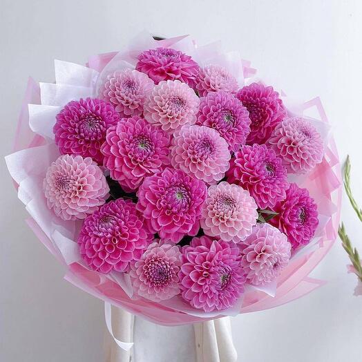 Bouquet of pink dahlias