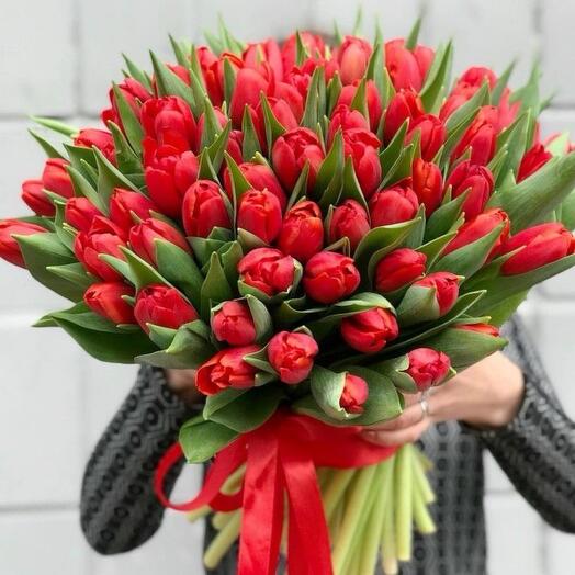 Букет из красных тюльпанов 51 шт