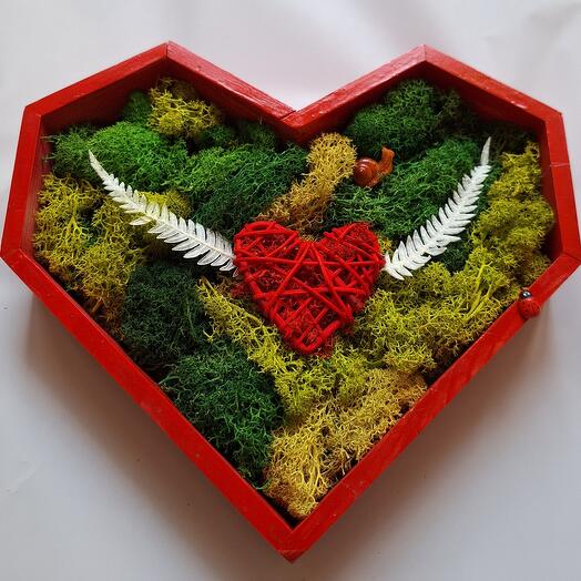 Сердце  из мха