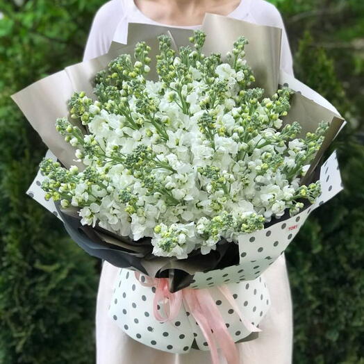 Bouquet of 51 white matthiola