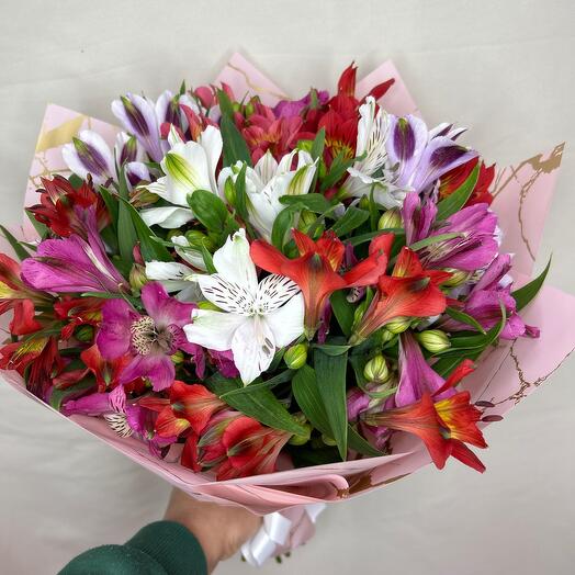 Alstroemeria