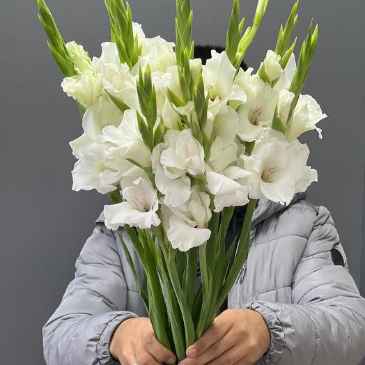 Гладиолусы