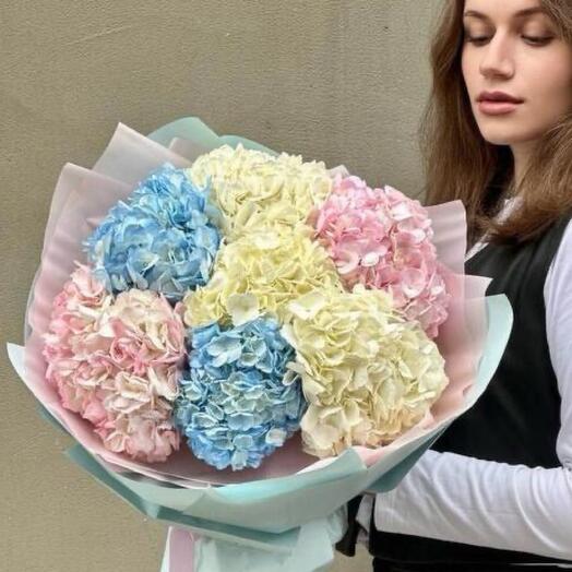 Букет из 7 гортензий микс М005