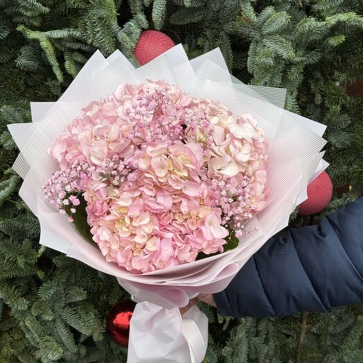 Нежнейшая гортензия