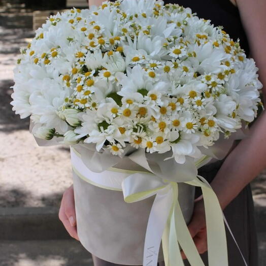 Daisies in a box