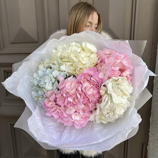 Monobucket of 5 hydrangeas