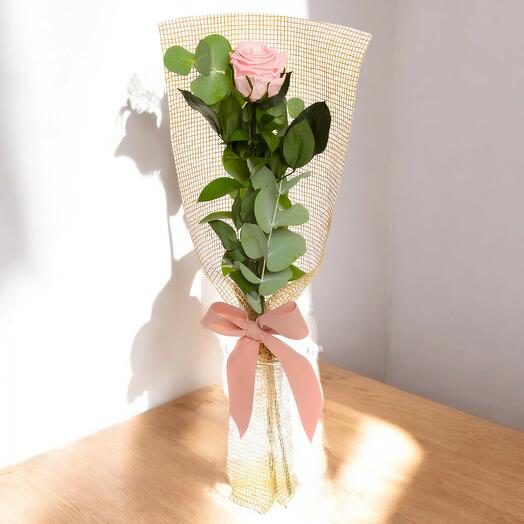Rosa preservada rosada