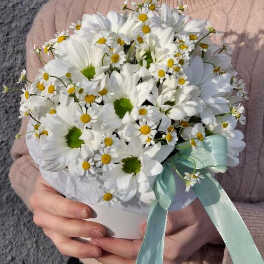 Ромашки для любимой