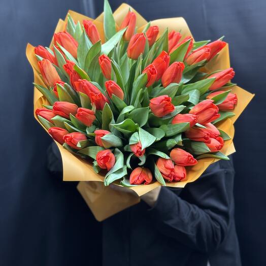 Тюльпан 49