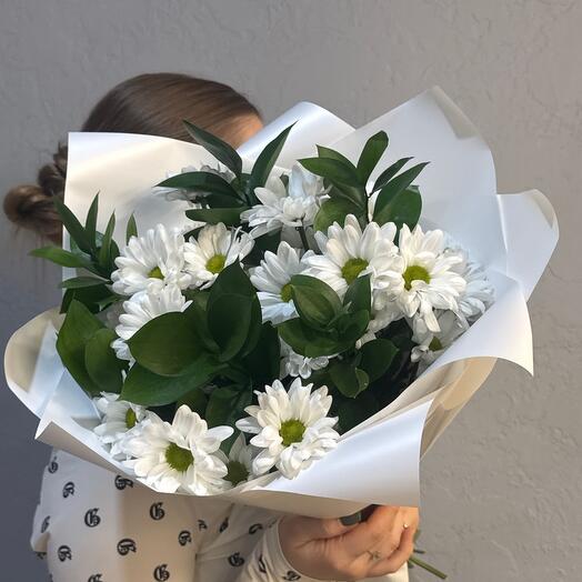 Chrysanthemum Chic x Ruskus