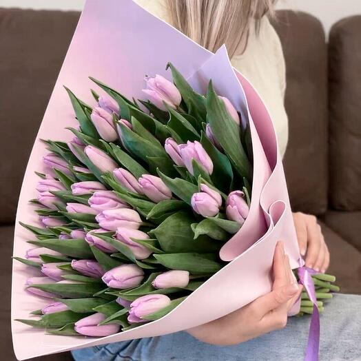 Purple Tulips