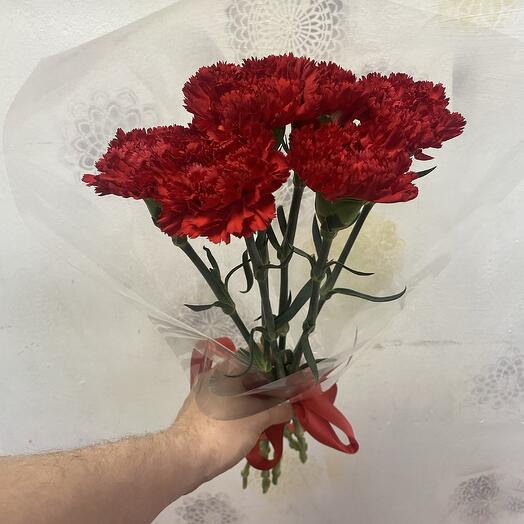 Красные гвоздики 8 штук