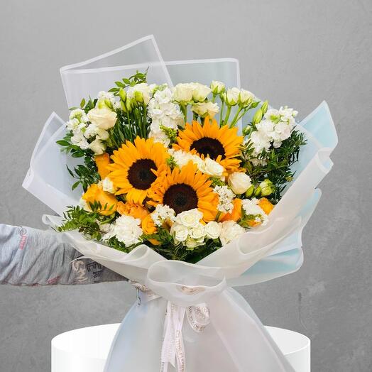 SunFlowers Blooming