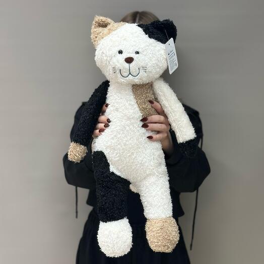 Кот Тимофей