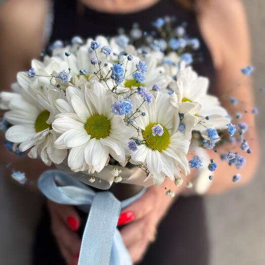 Flowers in a box : Gypsophila chrysanthemums