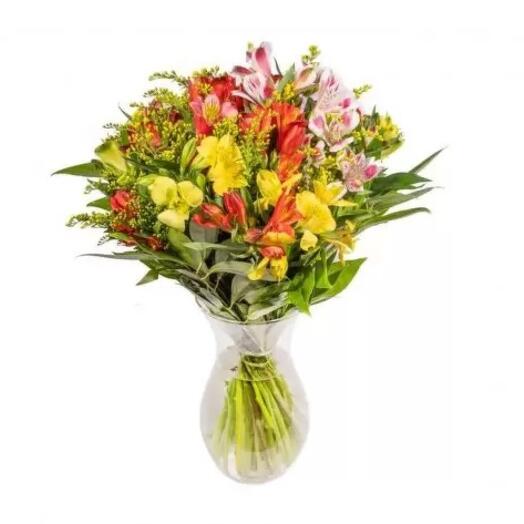 Alstroemeria