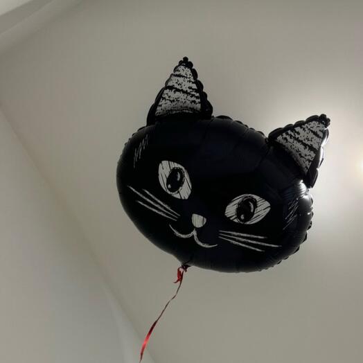 Двусторонний фольгированный шар Кошка