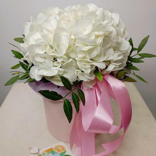 Гортензия в коробке "Шербурская мелодия"