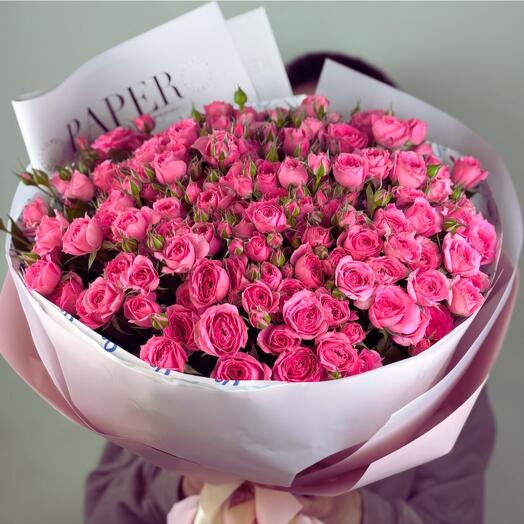 Нежная софи