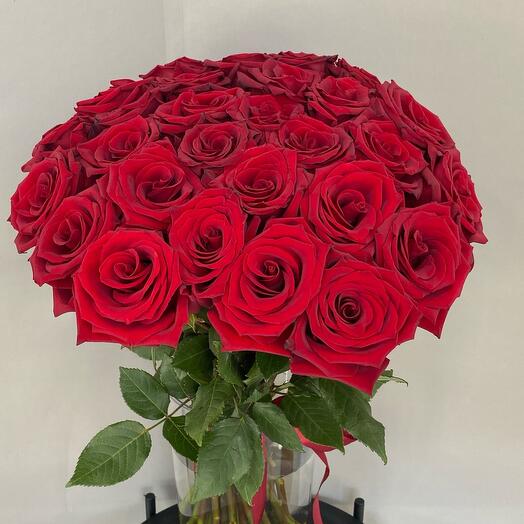 29 красных роз под ленту