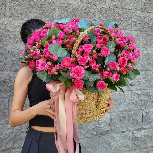 23 Mono Spray Sofia Pot