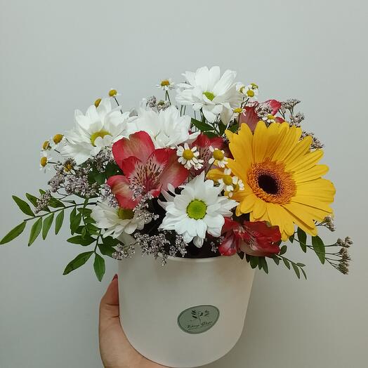 Цветы в коробке с герберой 🌼