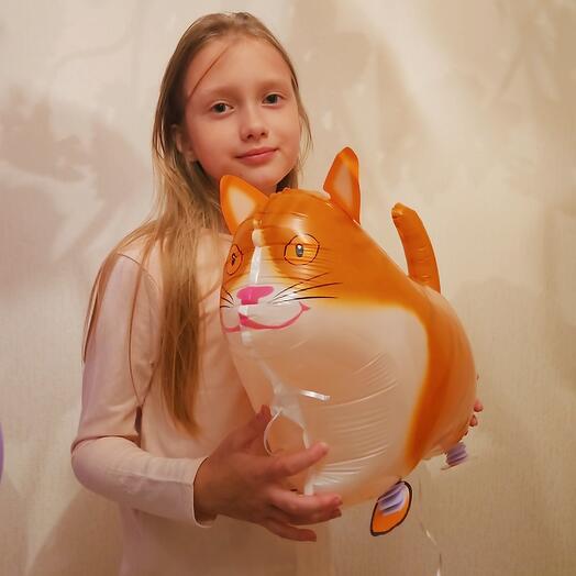 Шар кошечка кошка рыжая -1шар