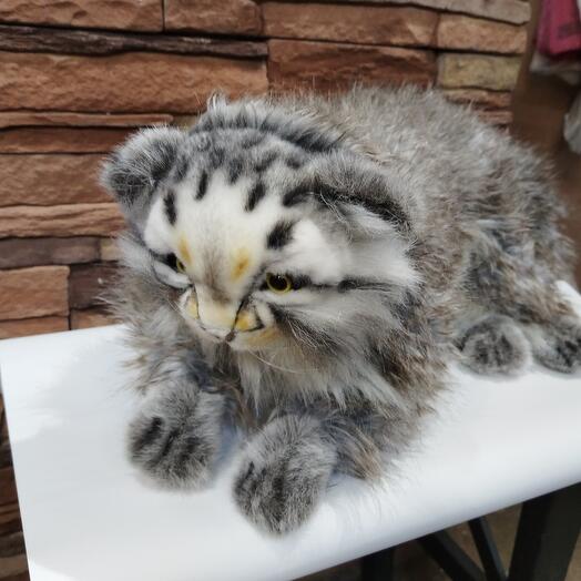 Мягкая игрушка кошка