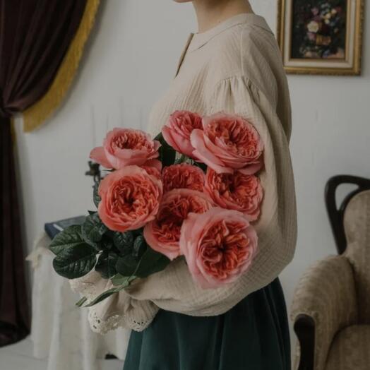 Пионовидные розы сорта Pink Expression