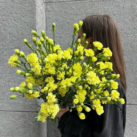 Кустовые диантусы лимонного цвета