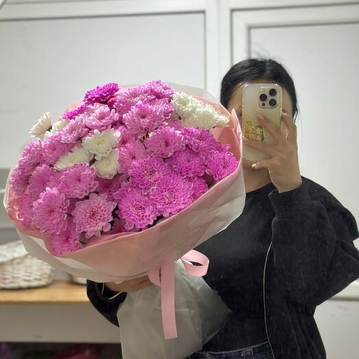 Розовые хризантемы