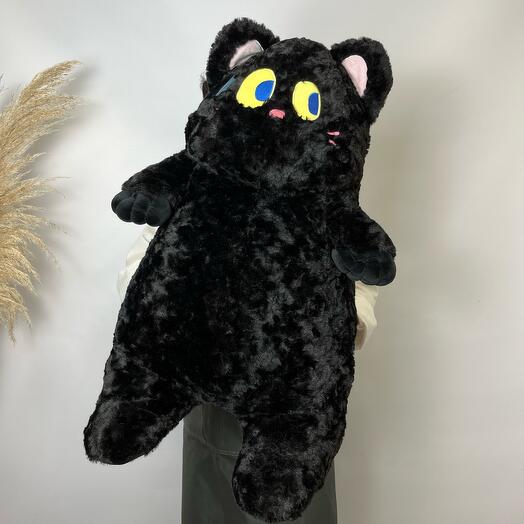 Черный кот