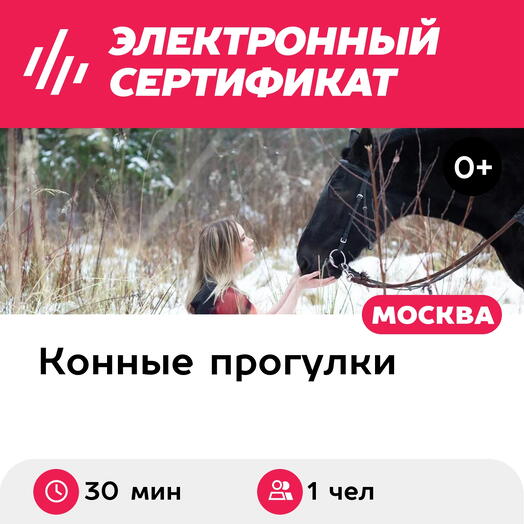 Подарочный сертификат Мини-фотосессия с лошадью для 1 чел. (30 мин.) (Московская область)