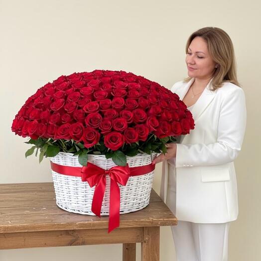 Корзина 151 красная роза