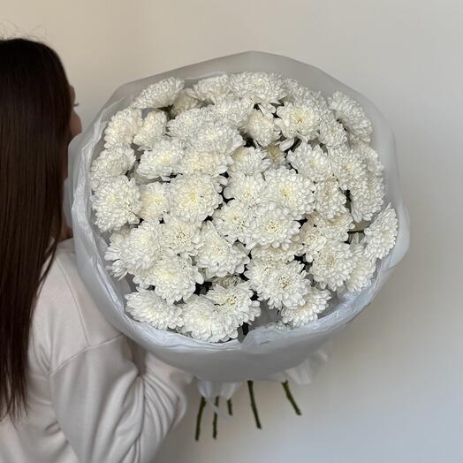 Хризантема Алтай 15 штук