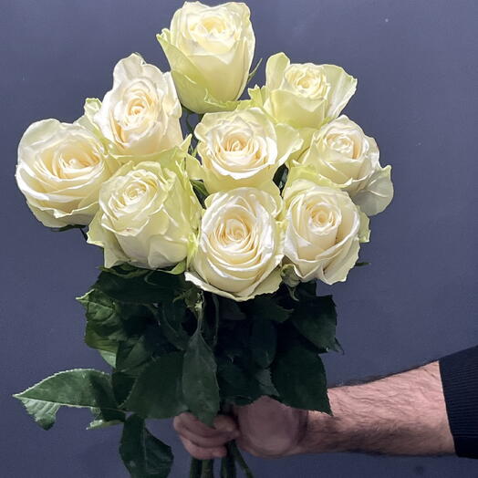 Роза Эквадор 60 см. 9 шт