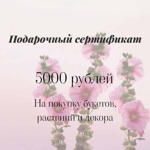 Сертификат на покупку Букетов и композиций, растений и декора