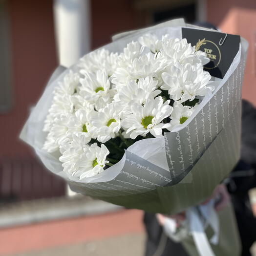 51 белая ромашка