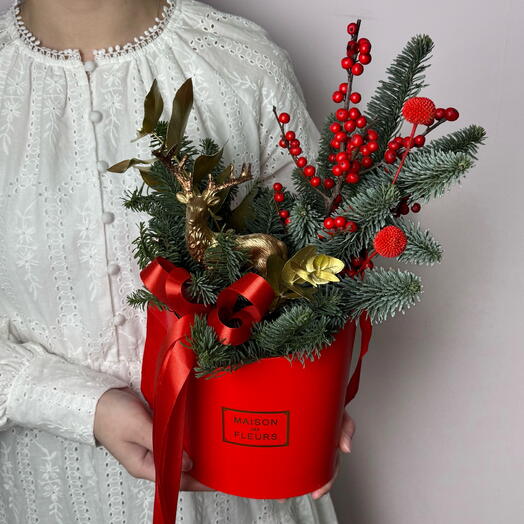 Новогодняя Композиция с Нобилиса и Илекса (19)