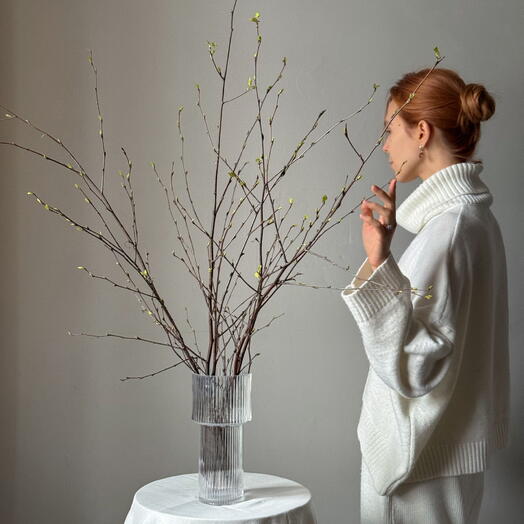 Живые ветки березы