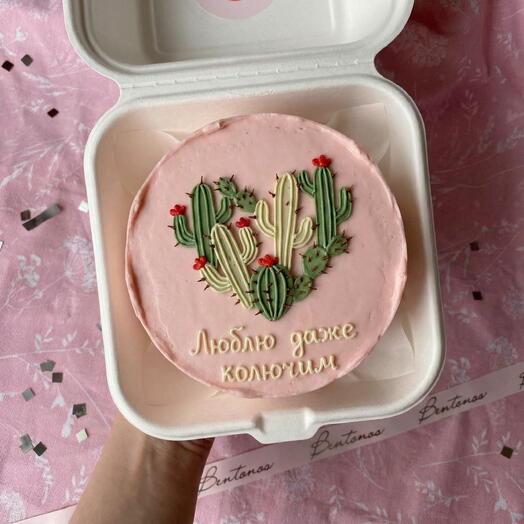 Бенто торт на День Святого Валентина Кактусы, коллекция «14 февраля»