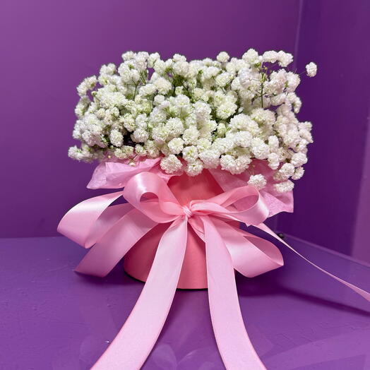 Гипсофилы в коробке